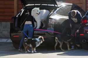 Ariel Winter Sexy   TheFappeningBlog.com 29.jpg