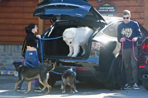 Ariel Winter Sexy   TheFappeningBlog.com 32.jpg