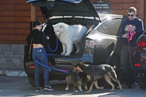 Ariel Winter Sexy   TheFappeningBlog.com 31.jpg