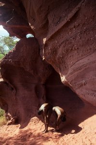 Kéziah LH and Elsa Nude - TheFappeningBlog.com 1.jpg