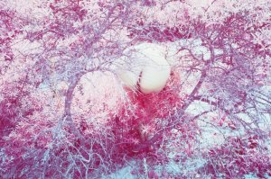 Mihn Ly Nude   TheFappeningBlog.com 3.jpg