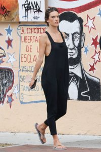 Alessandra Ambrosio Sexy   TheFappeningBlog.com 2.jpg