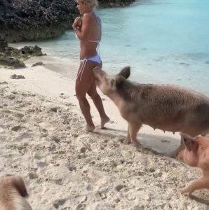 Michelle Lewin Sexy TheFappeningBlog.com 7.jpg