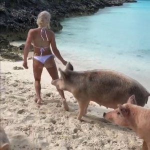 Michelle Lewin Sexy TheFappeningBlog.com 8.jpg