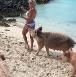 Michelle Lewin Sexy TheFappeningBlog.com 5.jpg