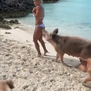 Michelle Lewin Sexy TheFappeningBlog.com 4.jpg