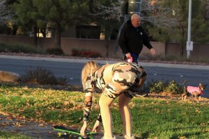 Ana Braga Underboob - TheFappeningBlog.com 16.jpg