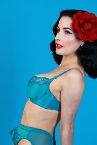 Dita-Von-Teese-Sexy-9.jpg