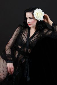 Dita-Von-Teese-Sexy-52.jpg