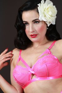 Dita-Von-Teese-Sexy-27.jpg