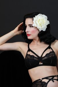 Dita-Von-Teese-Sexy-38.jpg