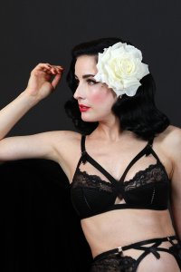 Dita-Von-Teese-Sexy-39.jpg