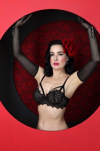 Dita-Von-Teese-Sexy-122.jpg