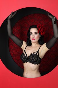 Dita-Von-Teese-Sexy-121.jpg