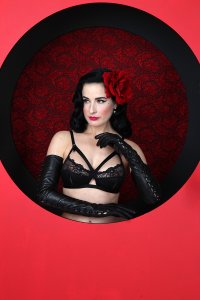 Dita-Von-Teese-Sexy-124.jpg
