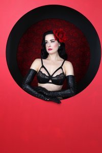 Dita-Von-Teese-Sexy-128.jpg