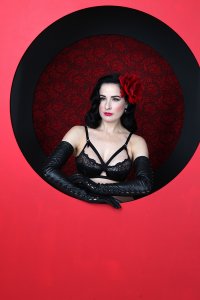 Dita-Von-Teese-Sexy-127.jpg