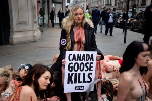 PETA stage Naked Die-in Protest - TheFappeningBlog.com 4.JPG