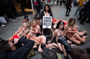 PETA stage Naked Die-in Protest - TheFappeningBlog.com 6.JPG