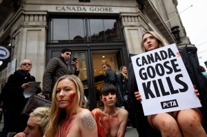 PETA stage Naked Die-in Protest - TheFappeningBlog.com 7.JPG