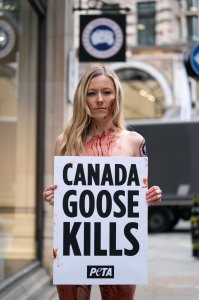 PETA stage Naked Die-in Protest - TheFappeningBlog.com 12.JPG