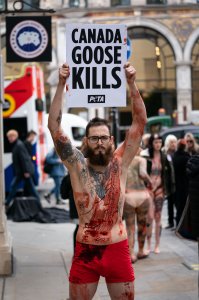 PETA stage Naked Die-in Protest - TheFappeningBlog.com 11.JPG