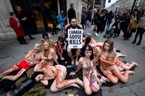 PETA stage Naked Die-in Protest - TheFappeningBlog.com 9.JPG