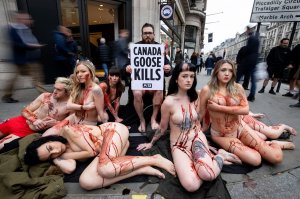 PETA stage Naked Die-in Protest - TheFappeningBlog.com 10.JPG
