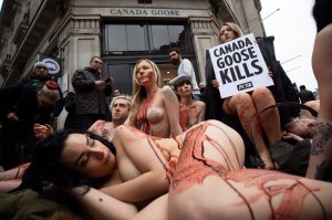 PETA stage Naked Die-in Protest - TheFappeningBlog.com 8.JPG