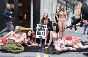 PETA stage Naked Die-in Protest - TheFappeningBlog.com 14.jpg