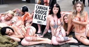 PETA stage Naked Die-in Protest - TheFappeningBlog.com 17.jpg