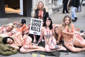 PETA stage Naked Die-in Protest - TheFappeningBlog.com 18.jpg