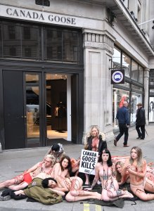PETA stage Naked Die-in Protest - TheFappeningBlog.com 15.jpg