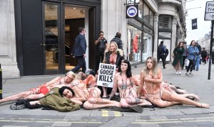 PETA stage Naked Die-in Protest - TheFappeningBlog.com 19.jpg