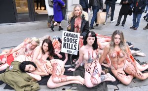 PETA stage Naked Die-in Protest - TheFappeningBlog.com 22.jpg