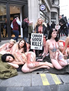 PETA stage Naked Die-in Protest - TheFappeningBlog.com 23.jpg
