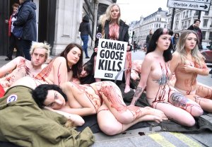 PETA stage Naked Die-in Protest - TheFappeningBlog.com 26.jpg