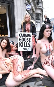 PETA stage Naked Die-in Protest - TheFappeningBlog.com 28.jpg