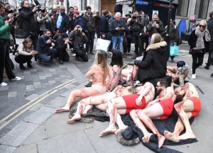 PETA stage Naked Die-in Protest - TheFappeningBlog.com 25.jpg
