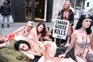 PETA stage Naked Die-in Protest - TheFappeningBlog.com 29.jpg