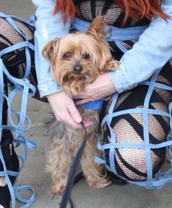 Phoebe Price Sexy TheFappeningBlog.com 6.JPG