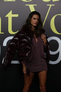 Alessandra Ambrosio Sexy TheFappeningBlog.com 14.jpg