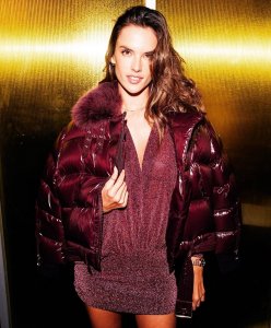 Alessandra Ambrosio Sexy TheFappeningBlog.com 16.jpg