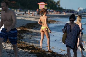 Julia Pereira Sexy - TheFappeningBlog.com 23.jpg