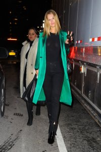 Toni Garrn See Through Nude TheFappeningBlog.com 14.jpg