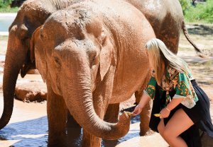 Saffron Lempriere Sexy - TheFappeningBlog.com 1.jpg