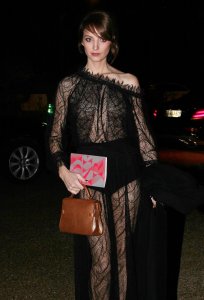 Stephanie Crayencour See Through Nude - TheFappeningBlog.com 15.jpg