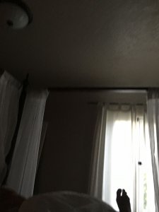 Serinda Swan Nude & Sexy Leaked TheFappeningBlog.com 29.JPG