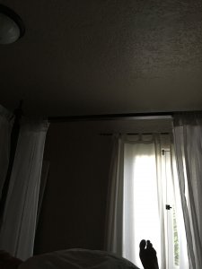 Serinda Swan Nude & Sexy Leaked TheFappeningBlog.com 28.JPG