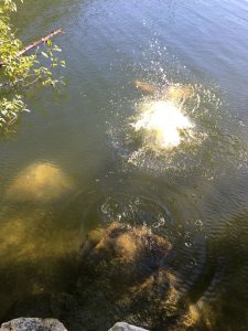 Serinda Swan Nude & Sexy Leaked TheFappeningBlog.com 76.JPG